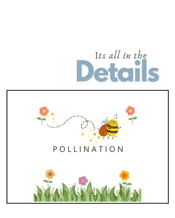 Pollination