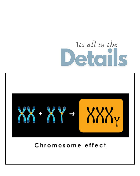 Chromosome Effect